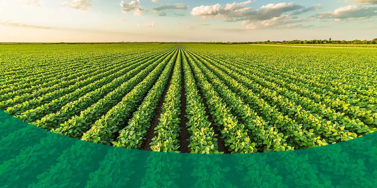 01 the history of agriculture